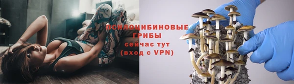 скорость mdpv Каменногорск