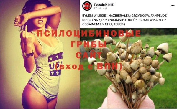 прущие крисы Каменка