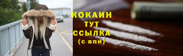 прущие крисы Каменка