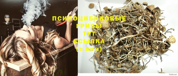 прущие крисы Каменка