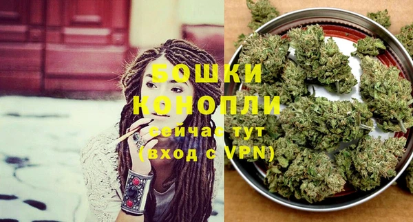 прущие крисы Каменка