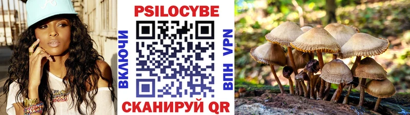 Галлюциногенные грибы прущие грибы  Купить  Лагань 