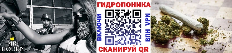Купить где  Лагань  Канабис индика 